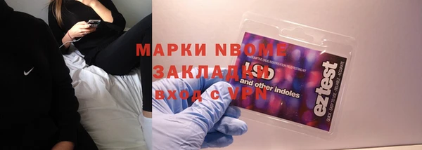 хмурый Алексин