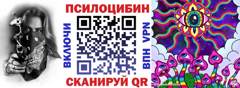 Галлюциногенные грибы Psilocybine cubensis  Пласт 